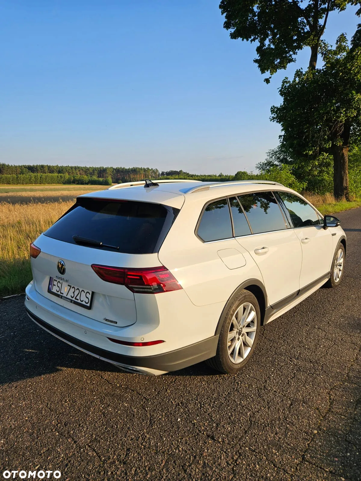 Volkswagen Golf Alltrack 2.0 TDI 4Mot DSG - 3