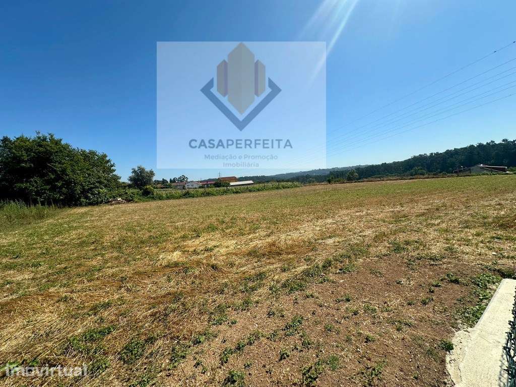 Terreno com 3000m2 com possibilidade de construção - Sandim - Grande imagem: 2/8