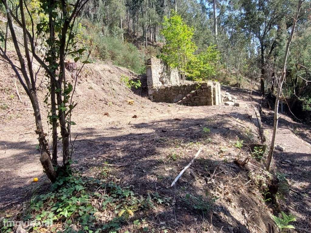 Terreno c/ Ruína em Pedra - Vilela - Grande imagem: 5/13