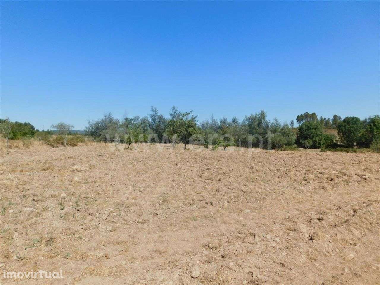 Quinta / Fundão, Quintas da Torre - Grande imagem: 3/7