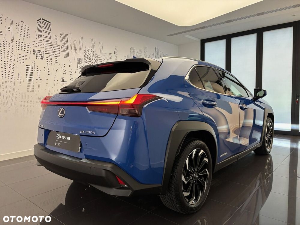 Lexus UX 250h GPF Prestige AWD - 10