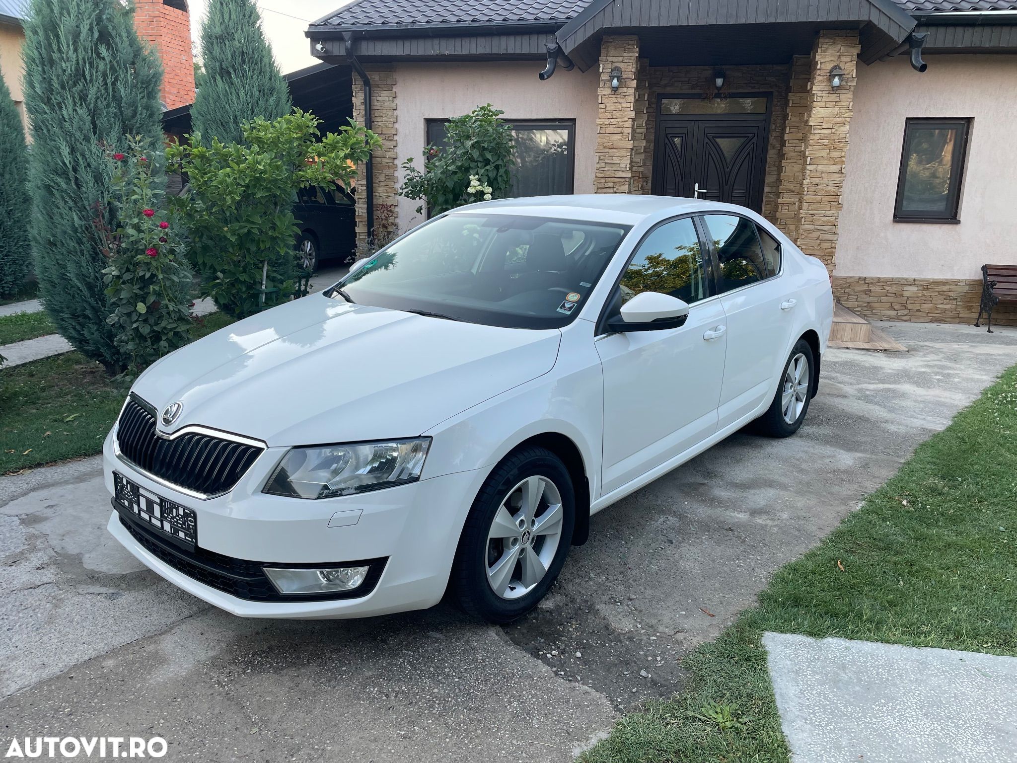 Skoda Octavia - 1