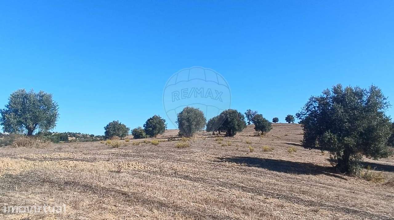 Terreno  para venda - Grande imagem: 3/15