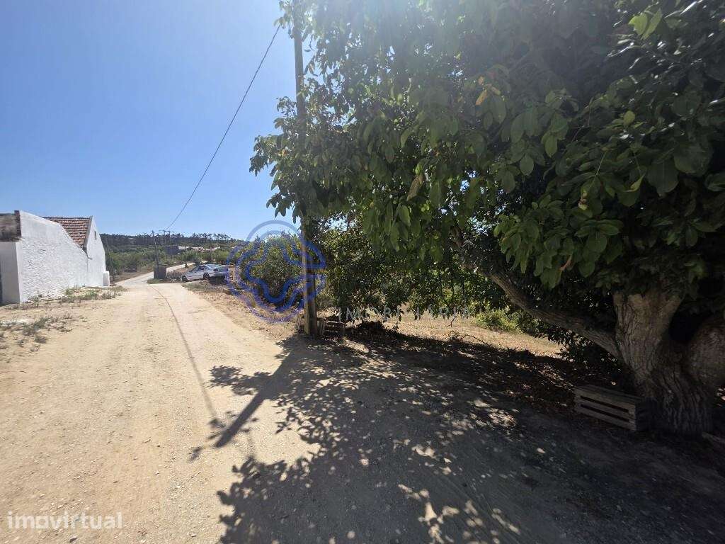 Terreno Rústico em Usseira, Óbidos - Grande imagem: 2/32