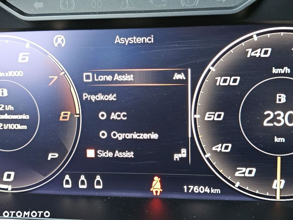 Cupra Ateca - 20