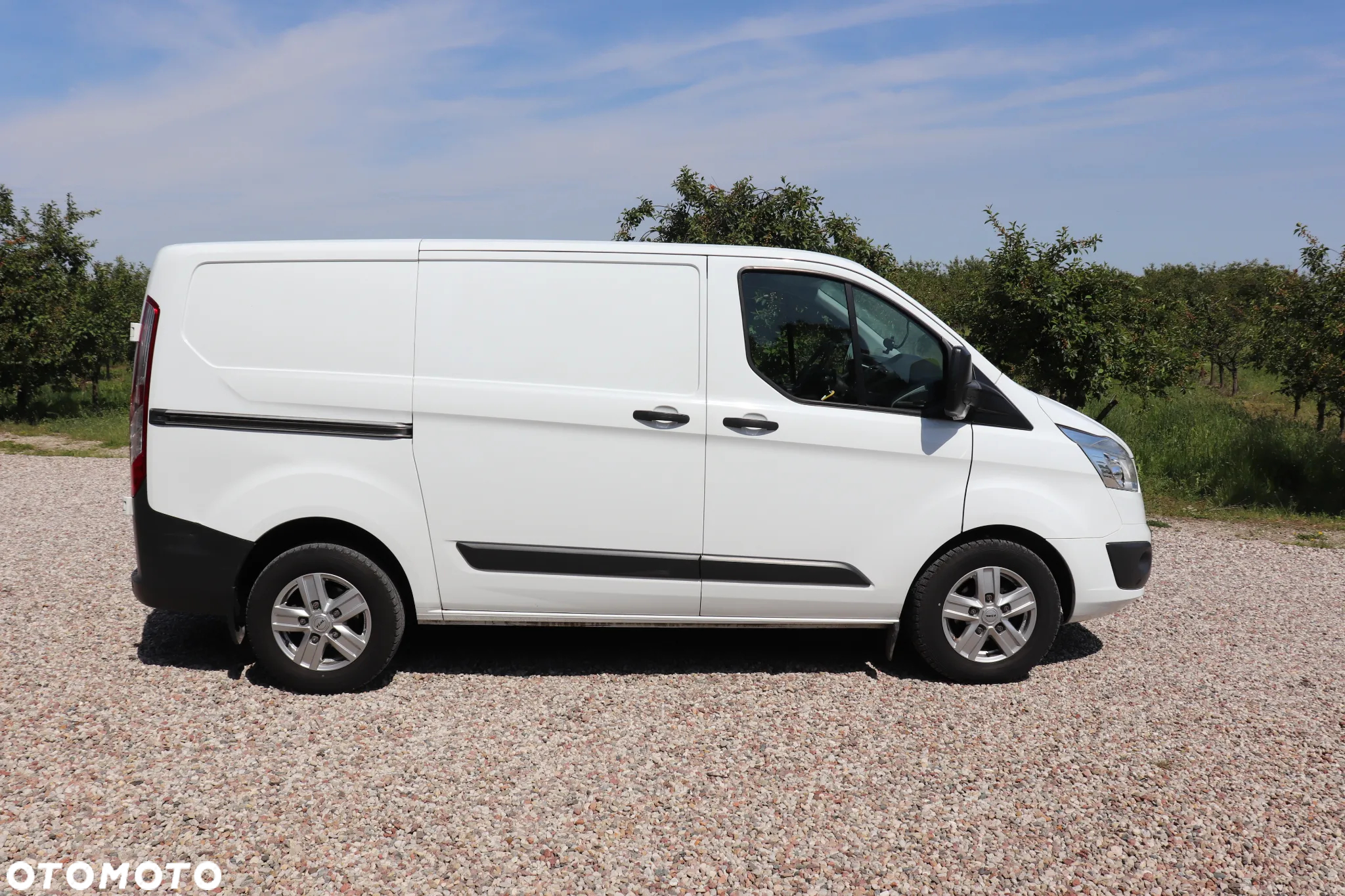 Ford Transit - 5
