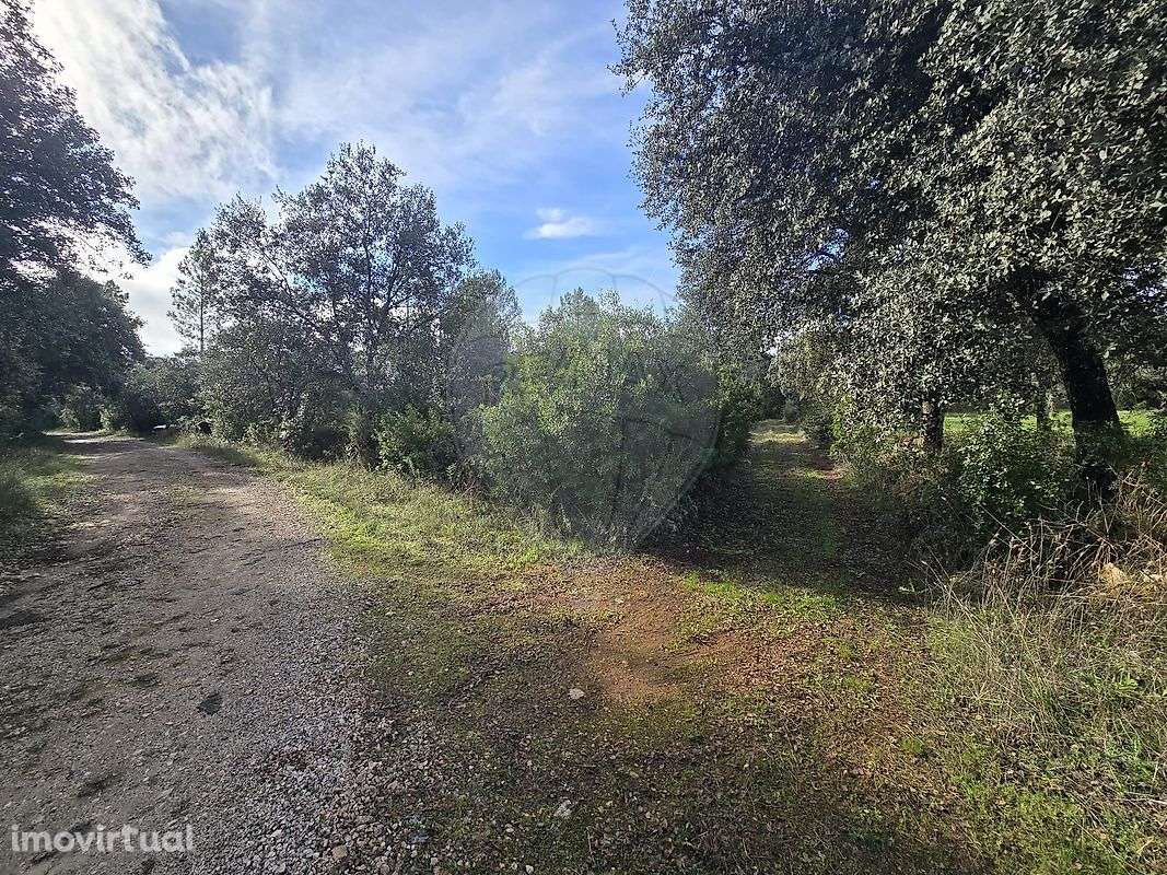 Terreno  para venda - Grande imagem: 3/4