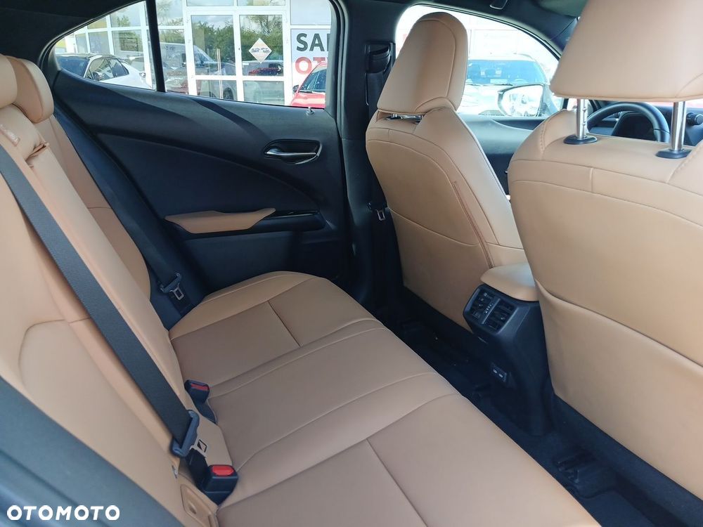 Lexus UX 250h GPF F Sport Design 2WD - 10
