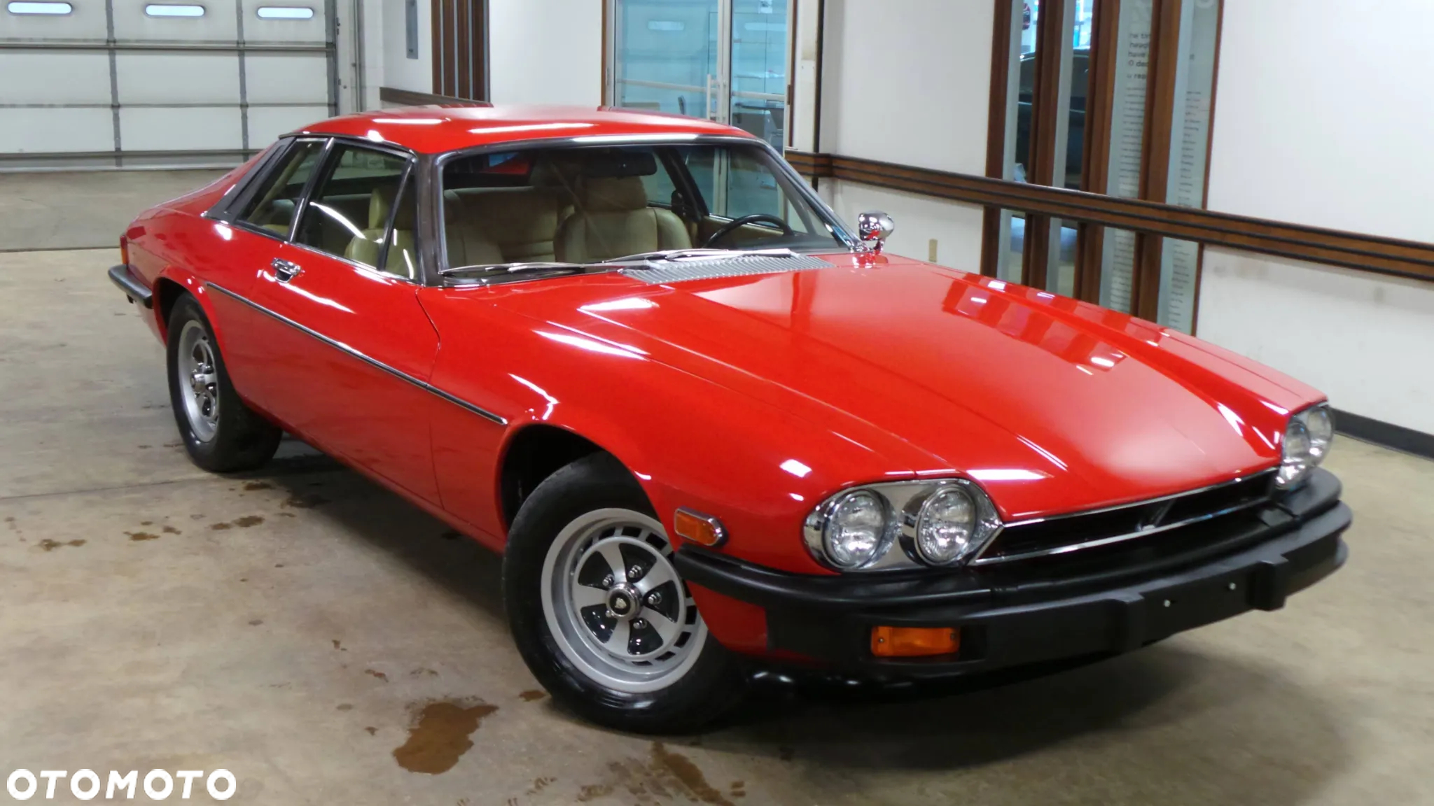 Jaguar XJS - 13