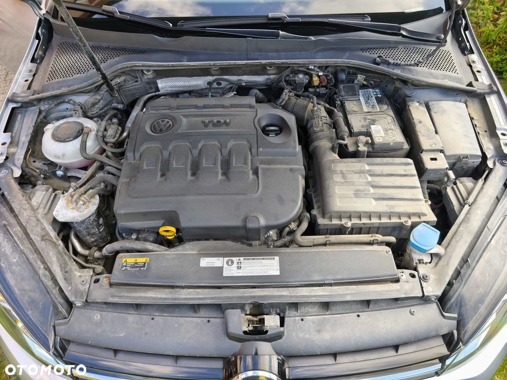 Volkswagen Golf - 26