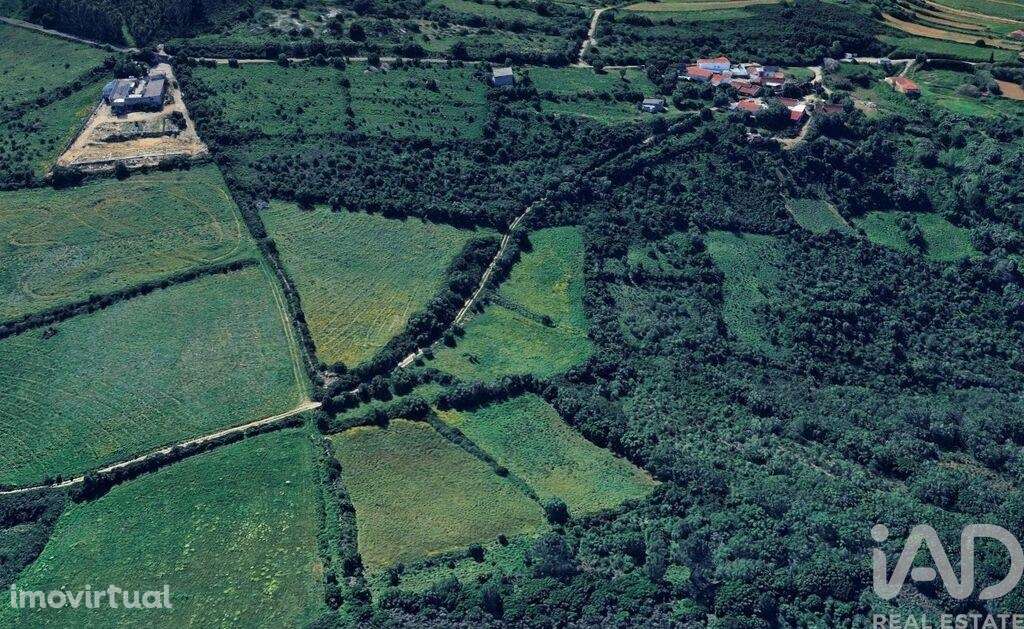 Terreno Agrícola em Igreja Nova e Cheleiros - Grande imagem: 2/11