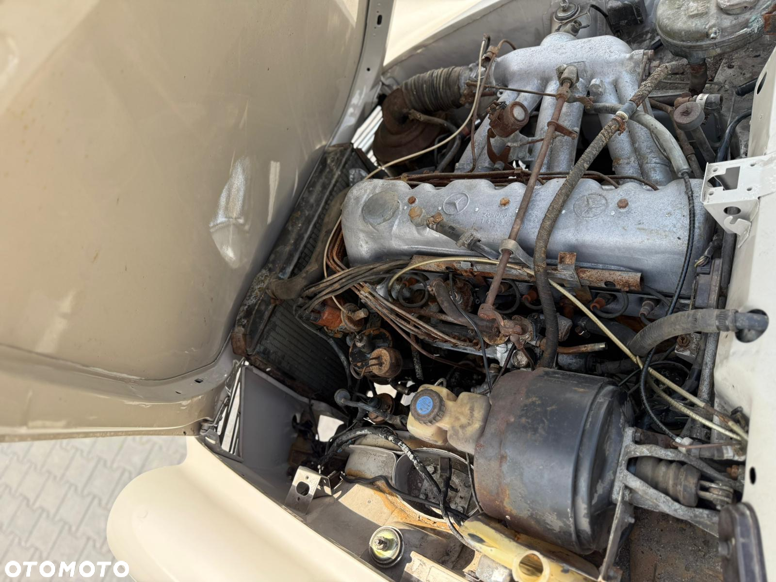 Mercedes-Benz Inny - 17