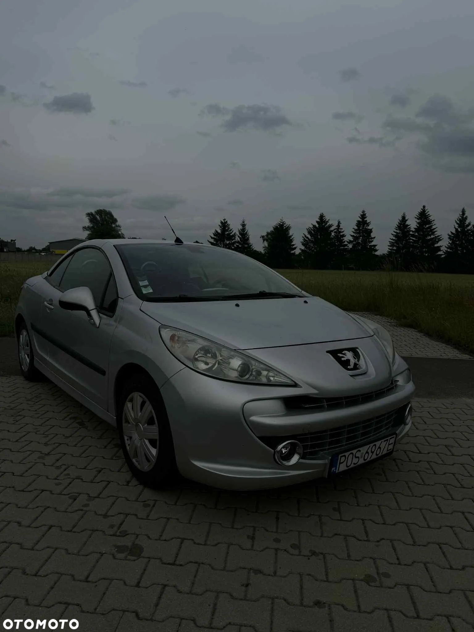 Peugeot 207 CC 1.6 Sport - 14
