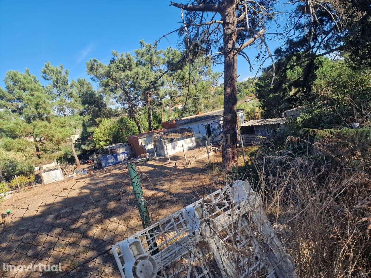 Terreno Rústico Quinta da Rosa - Grande imagem: 3/8