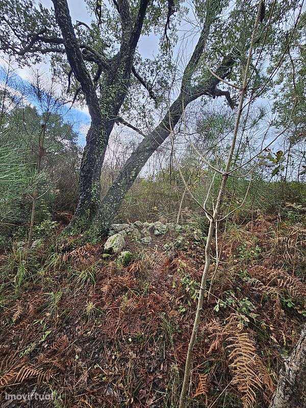 Terreno  para venda - Grande imagem: 4/6