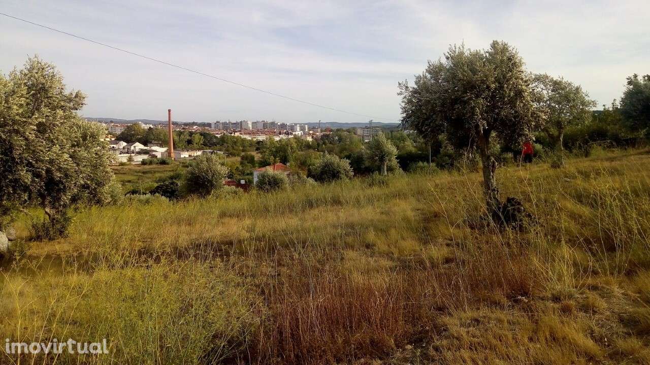 Terreno p/Construção - T2735/21 - Grande imagem: 3/6