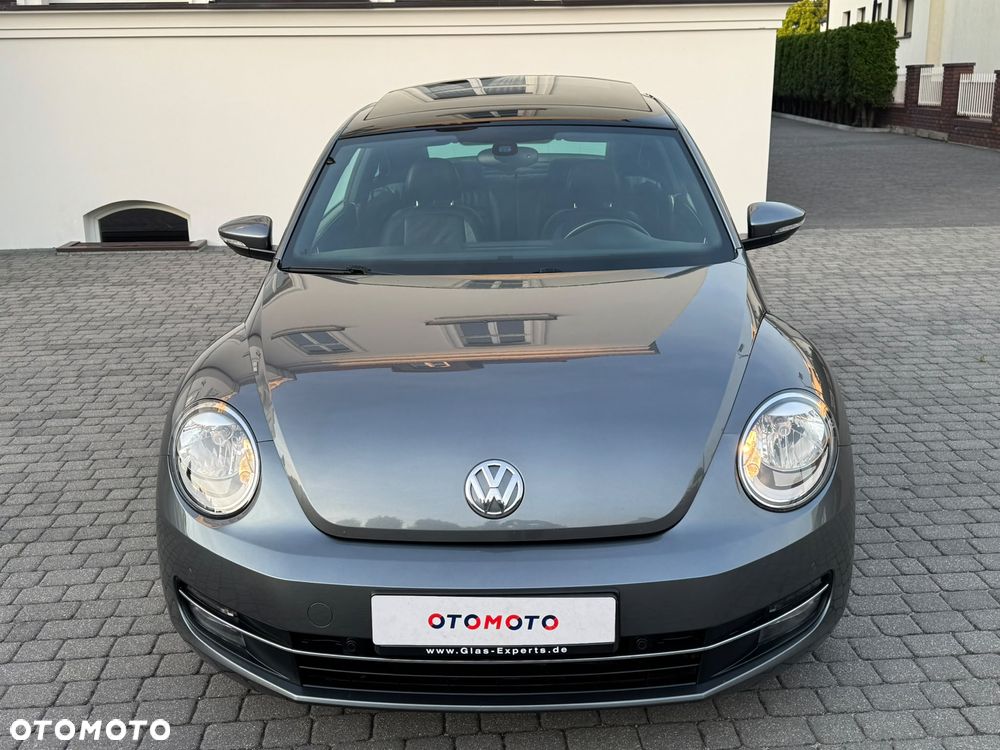 Volkswagen Beetle - 3