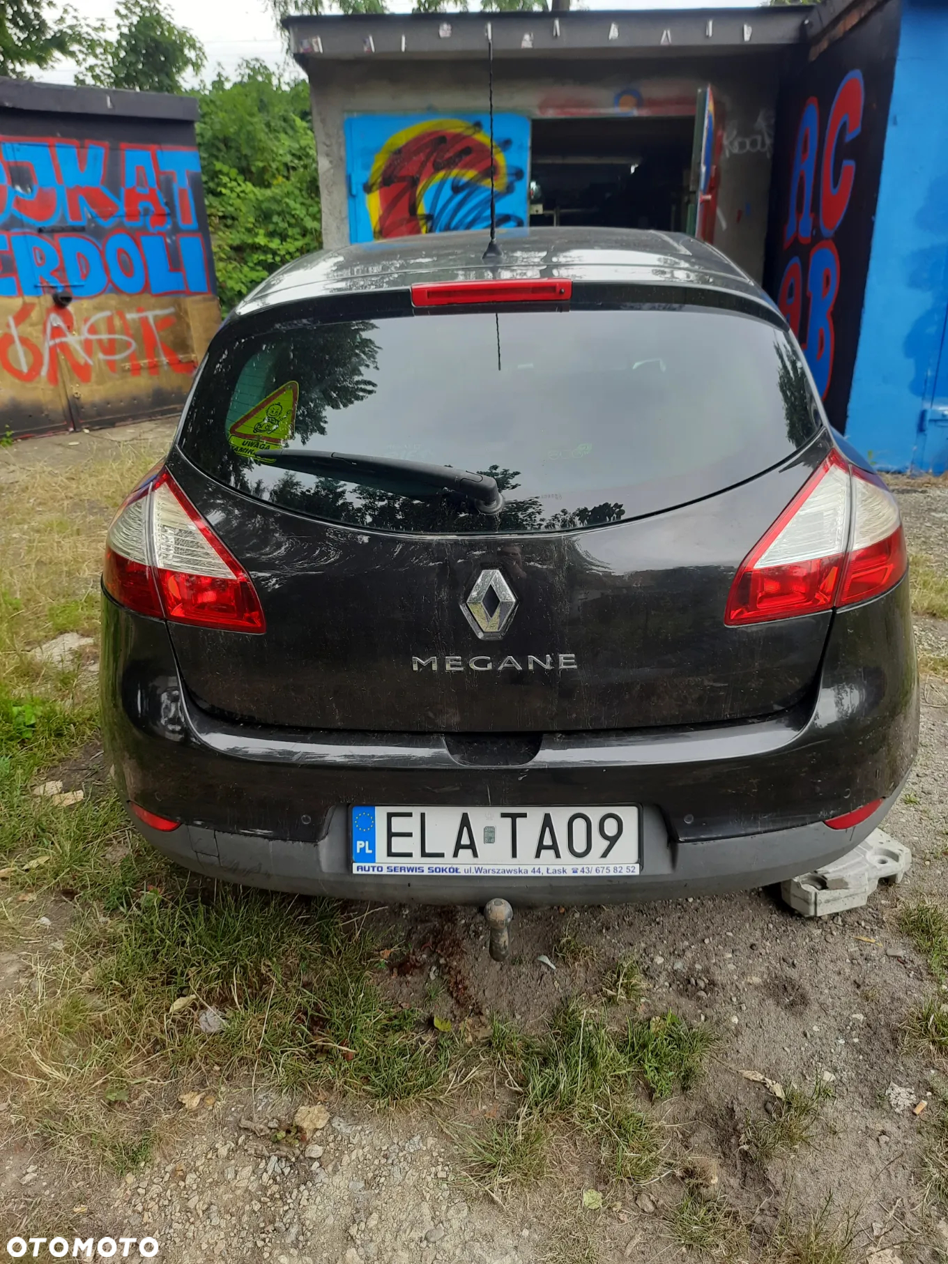 Renault Megane 1.9 dCi Color Edition - 2