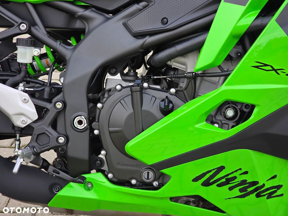 Kawasaki Ninja - 10