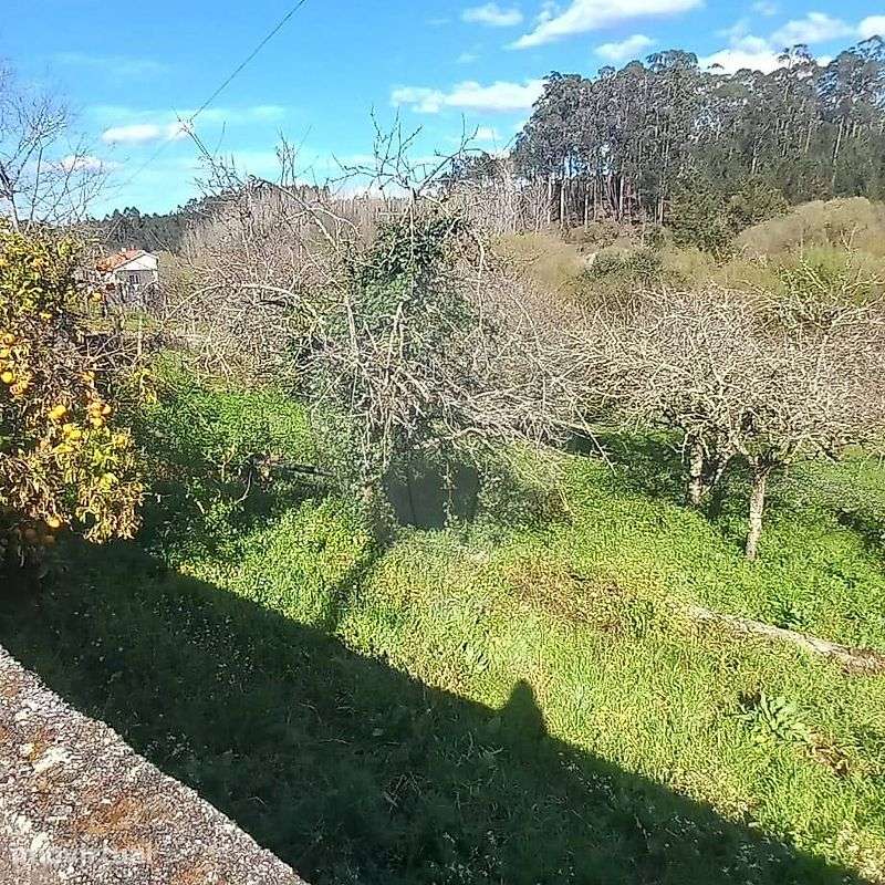 Terreno  para venda - Grande imagem: 5/14