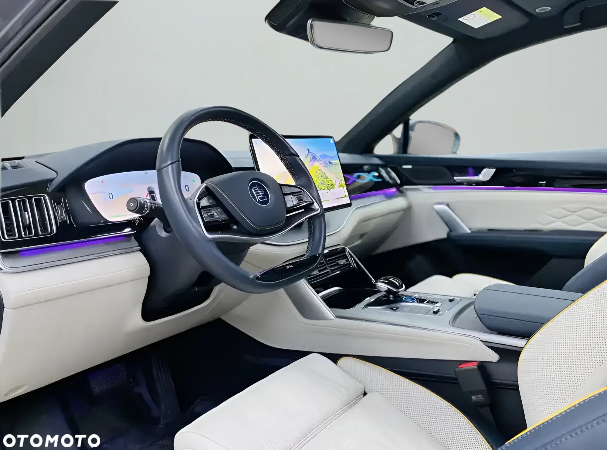 BYD Tang - 9