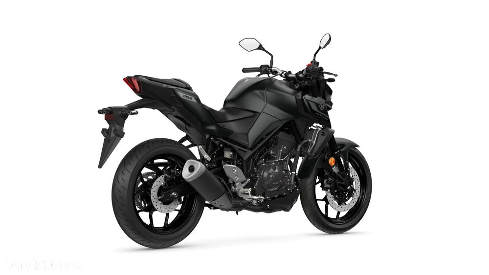 Yamaha MT - 19