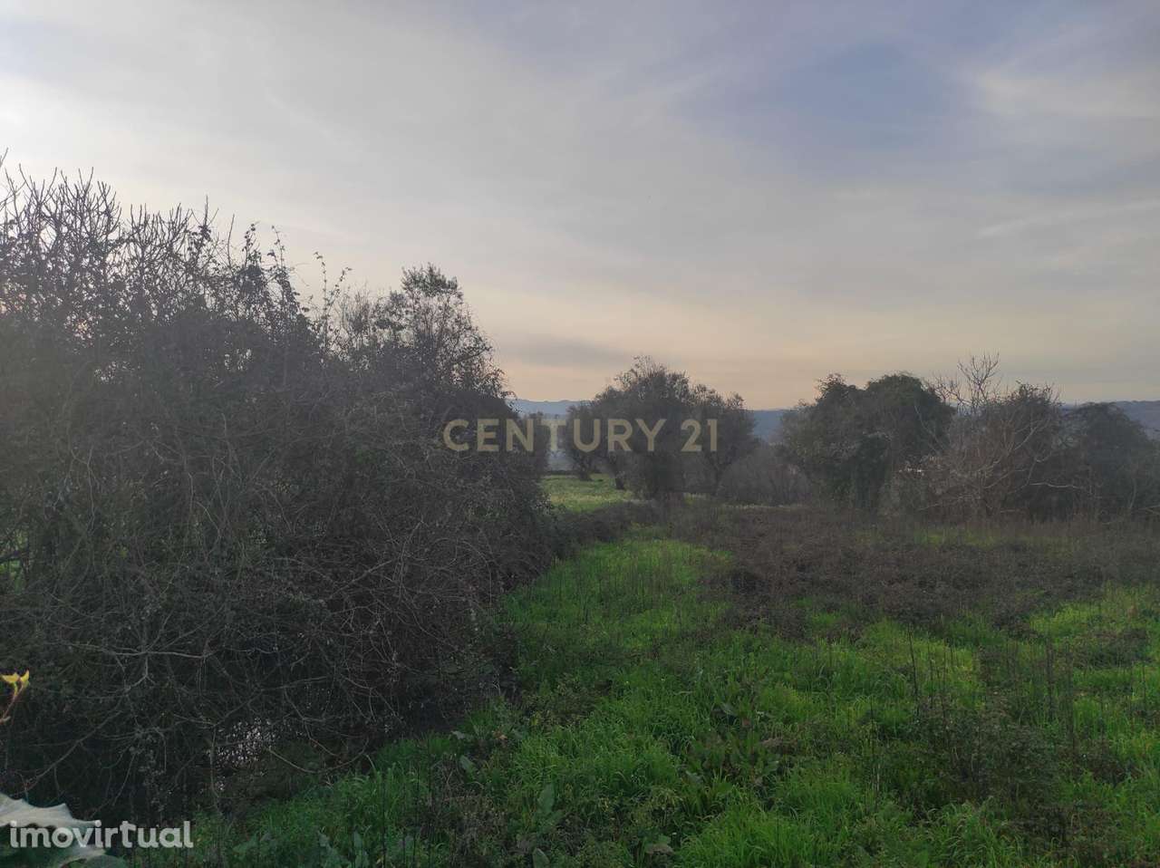 Terreno à venda em Silgueiros, Viseu - Grande imagem: 4/7