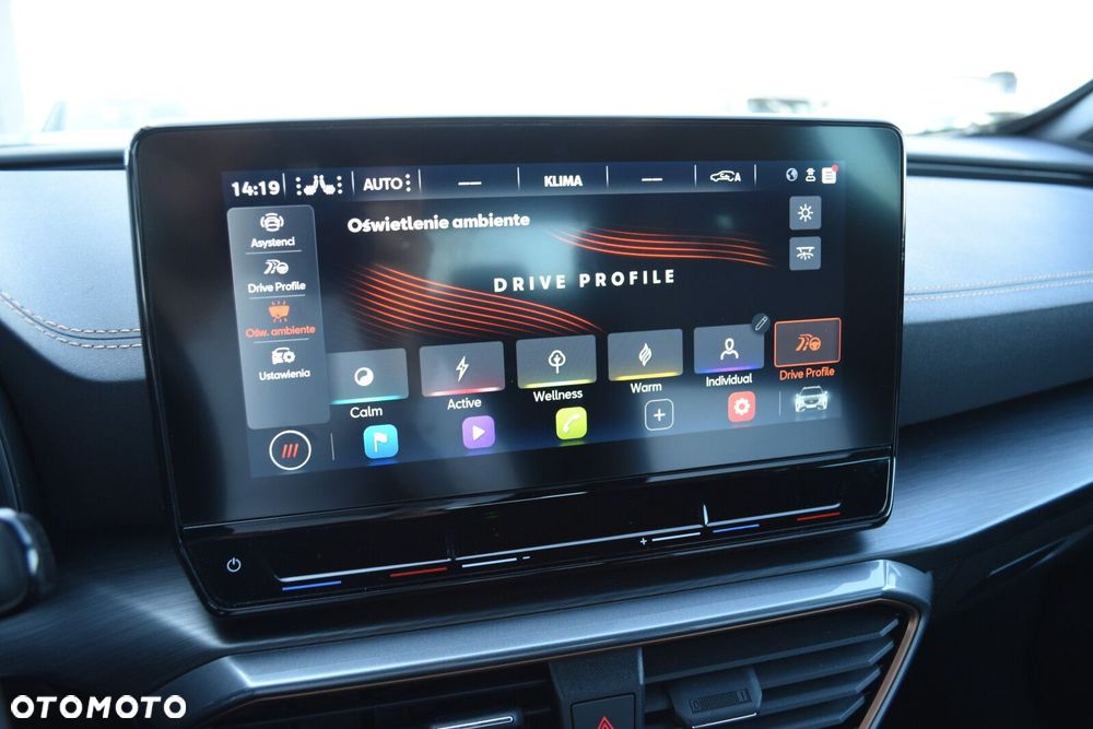 Cupra Formentor 1.5 TSI DSG - 24
