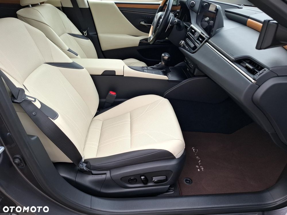 Lexus ES 300h Omotenashi - 16