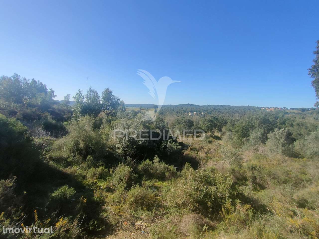 Terreno Rústico - Monsanto, Alcanena - Grande imagem: 5/9