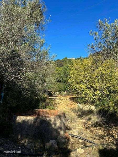 Terreno rústico com poço - Grande imagem: 3/8