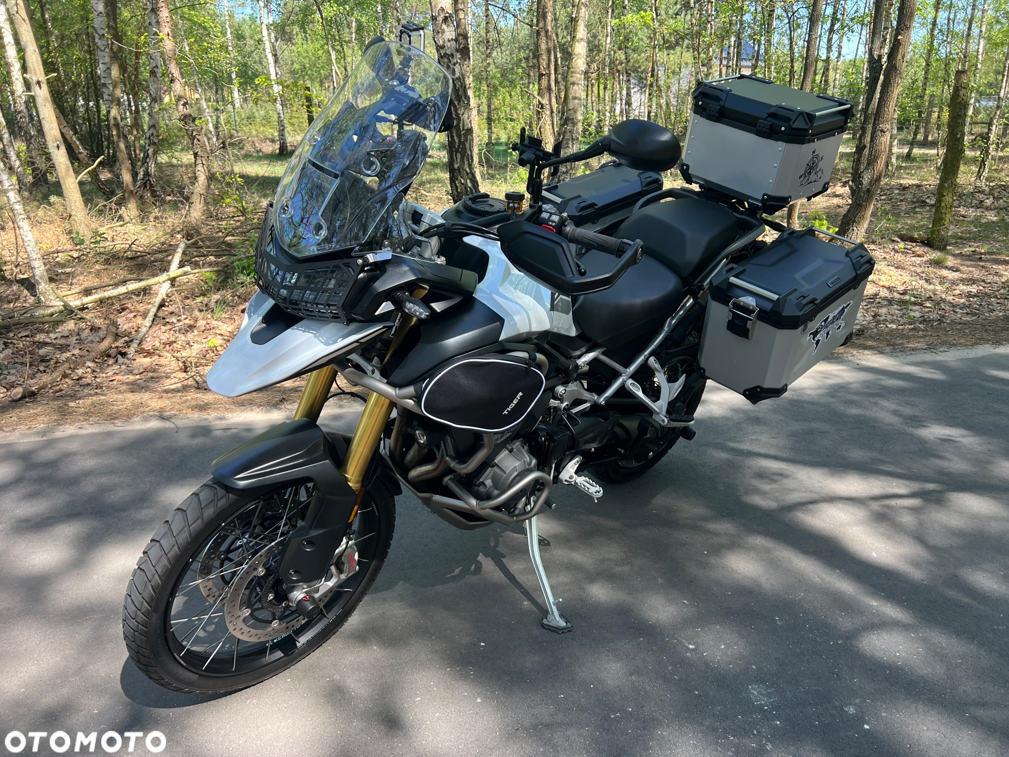 Triumph Tiger - 15
