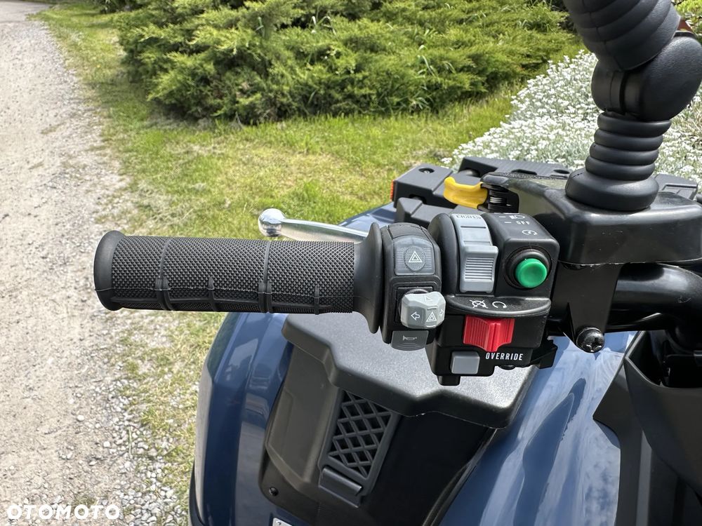 Kawasaki Brute Force - 9