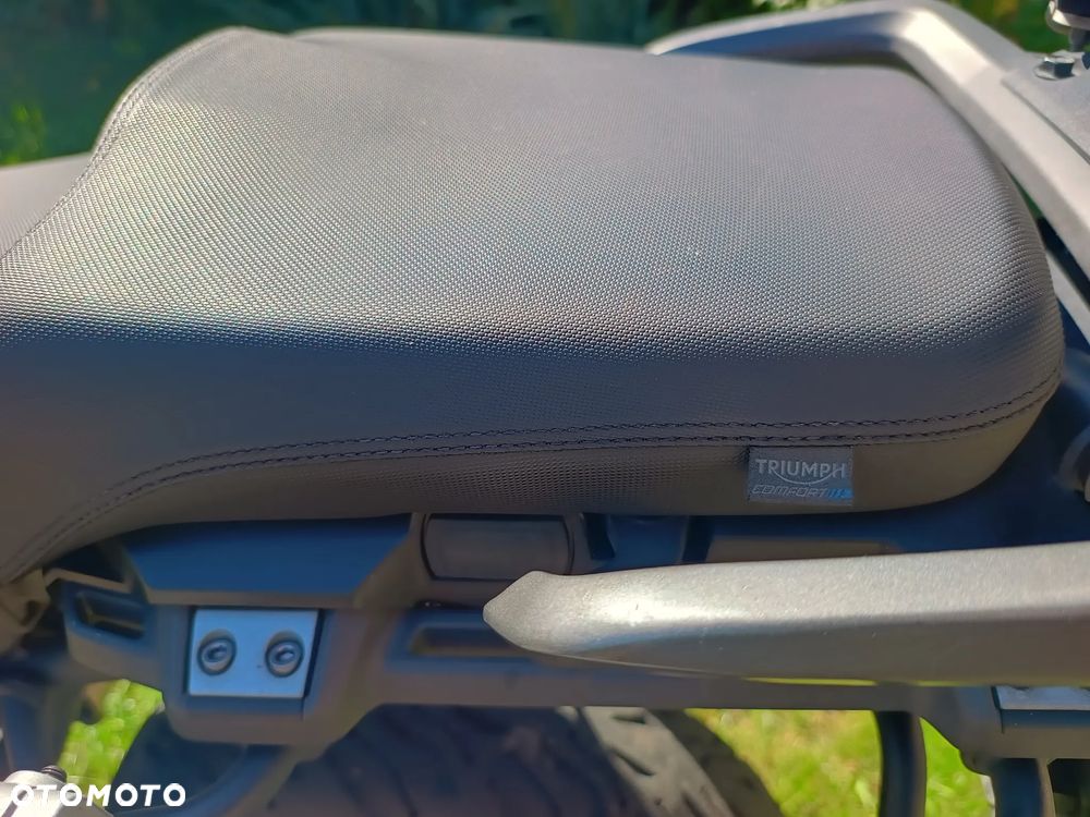 Triumph Tiger - 15