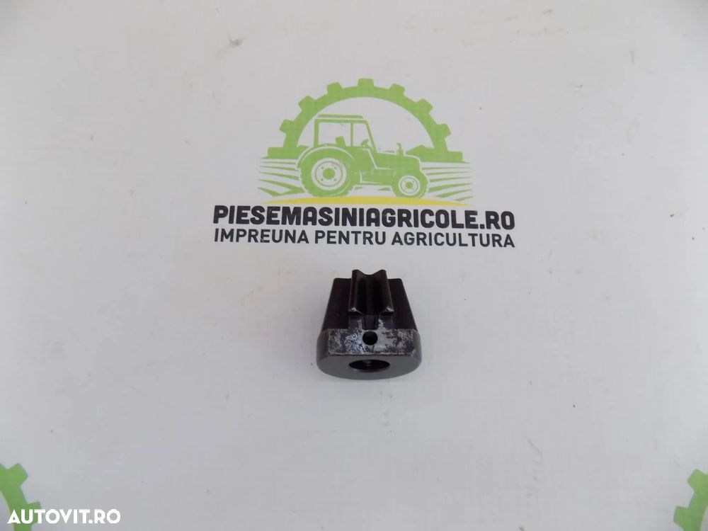 Pinioane presa de balotat - 6