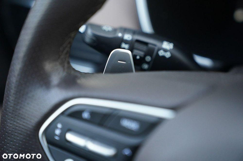 Hyundai Santa Fe - 38