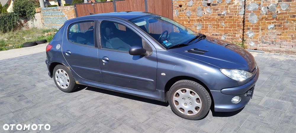 Peugeot 206 - 6