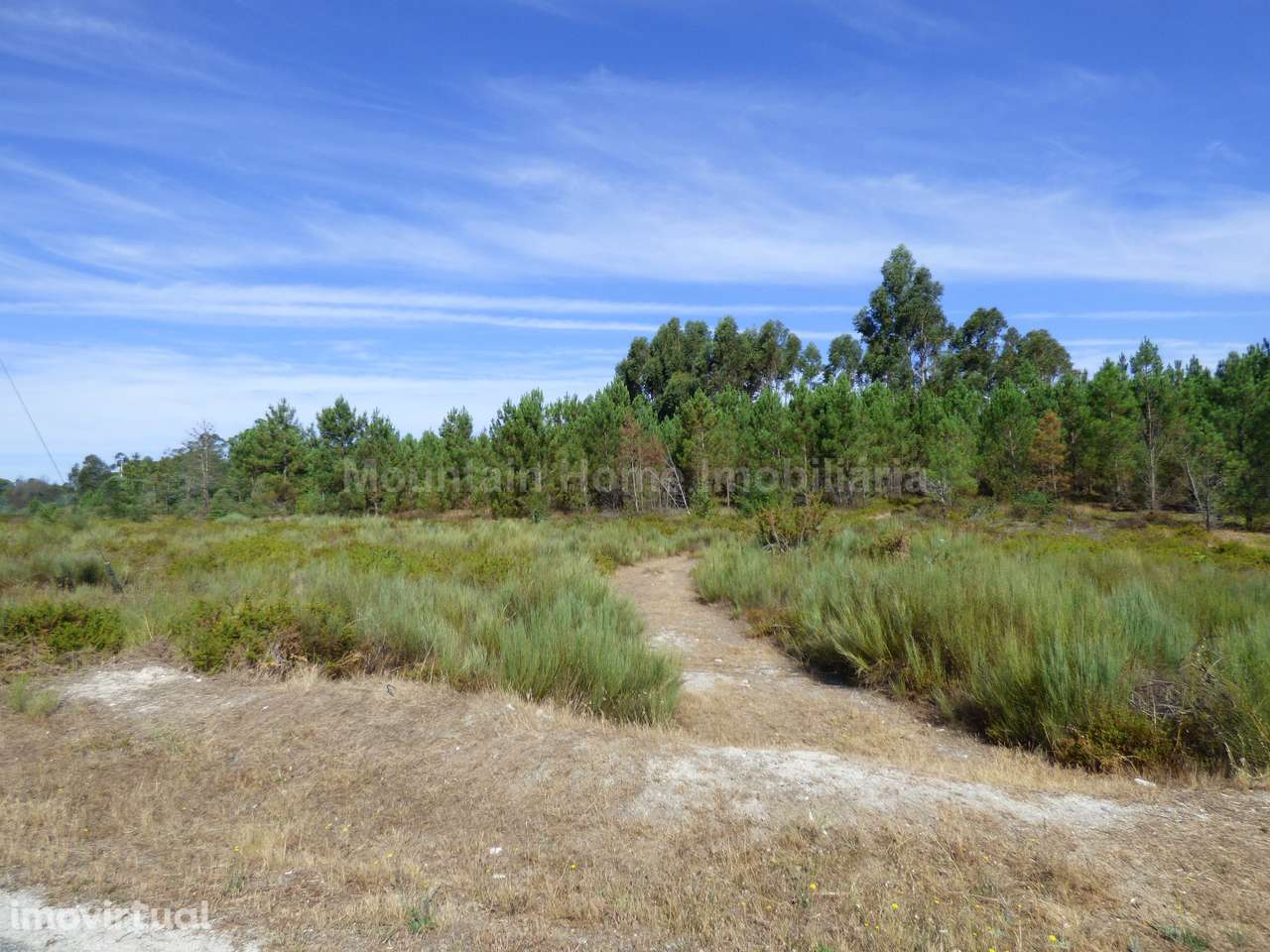 Quinta  Venda em Seixo da Beira,Oliveira do Hospital - Grande imagem: 2/10