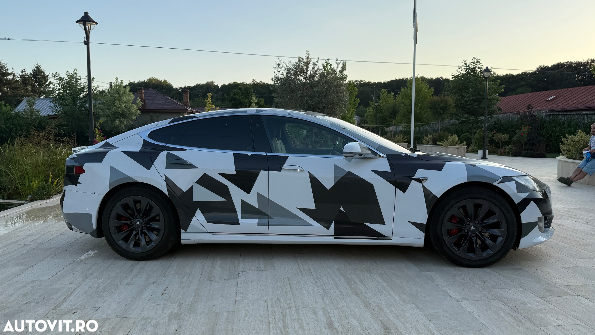 Tesla Model S Performance - 19