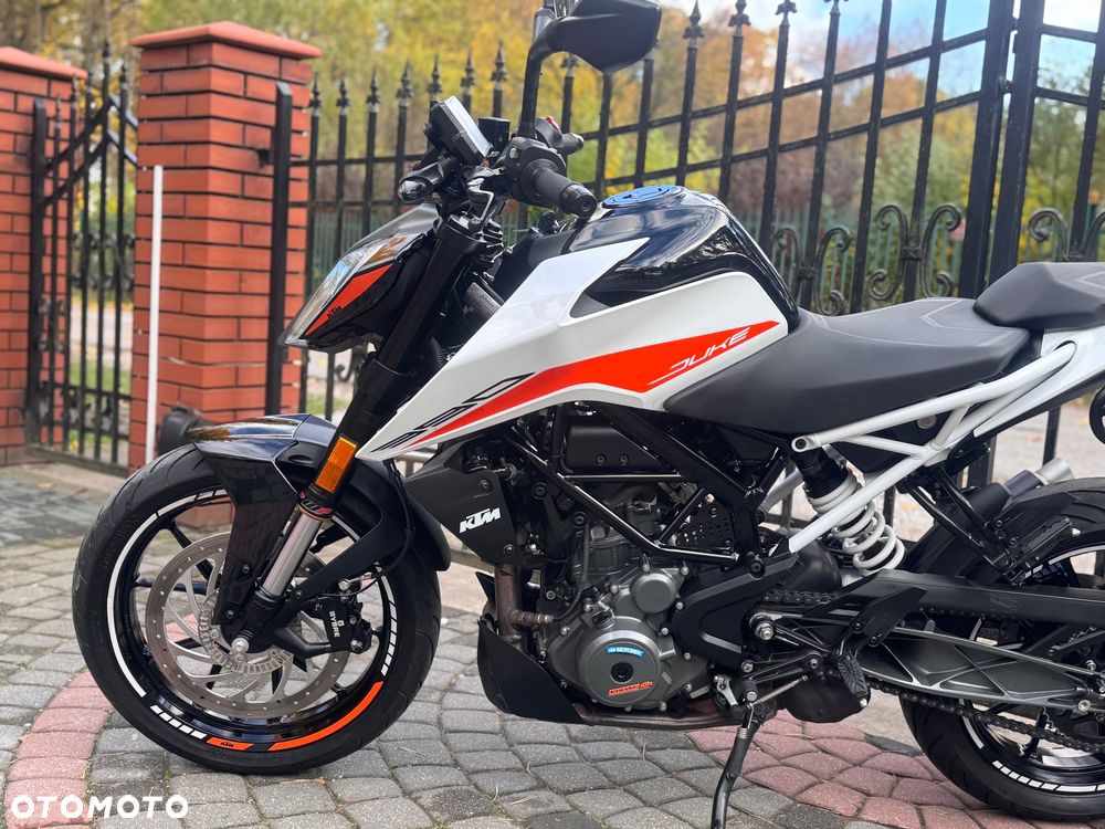 KTM Duke - 19