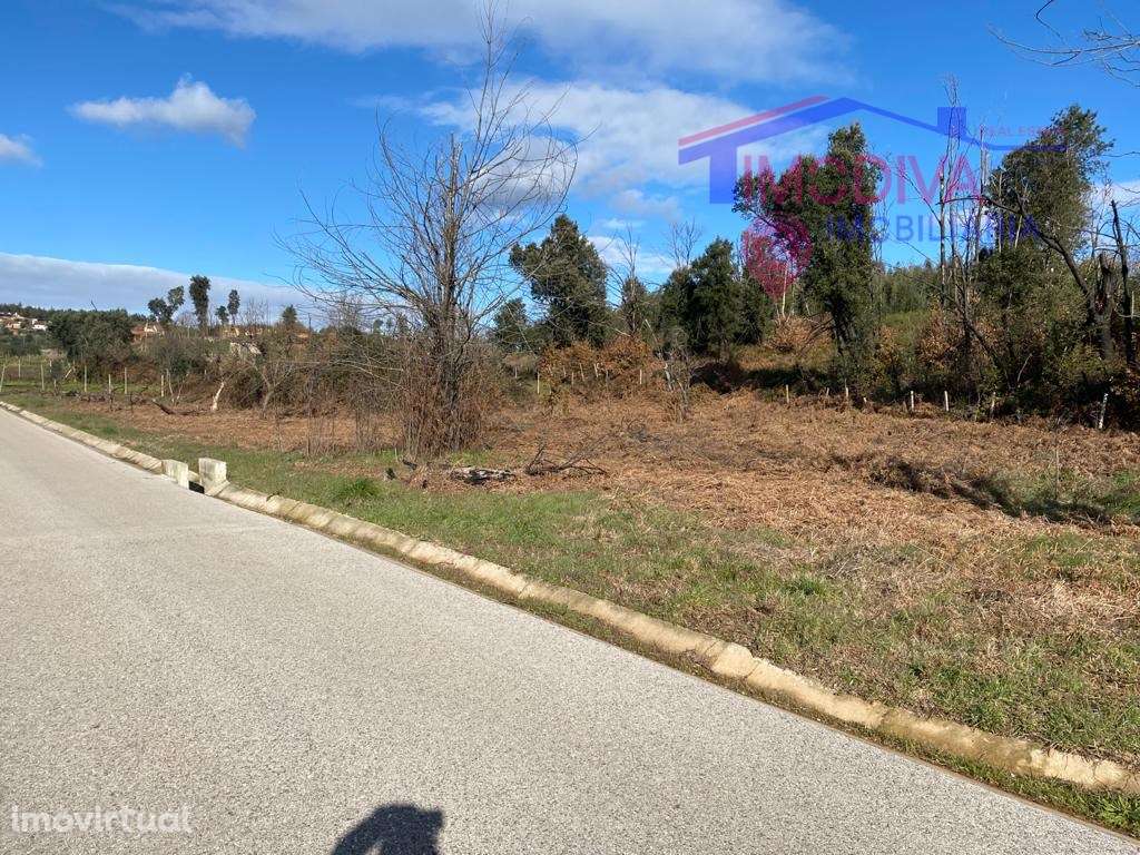 Terreno com 4700 m2 - Grande imagem: 2/8