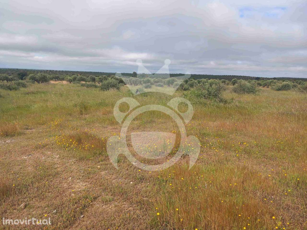 Terreno Rústico com ruína - 3Ha - Grande imagem: 5/14