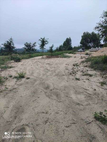 Quinta com vista para a serra da estrela - Grande imagem: 4/8