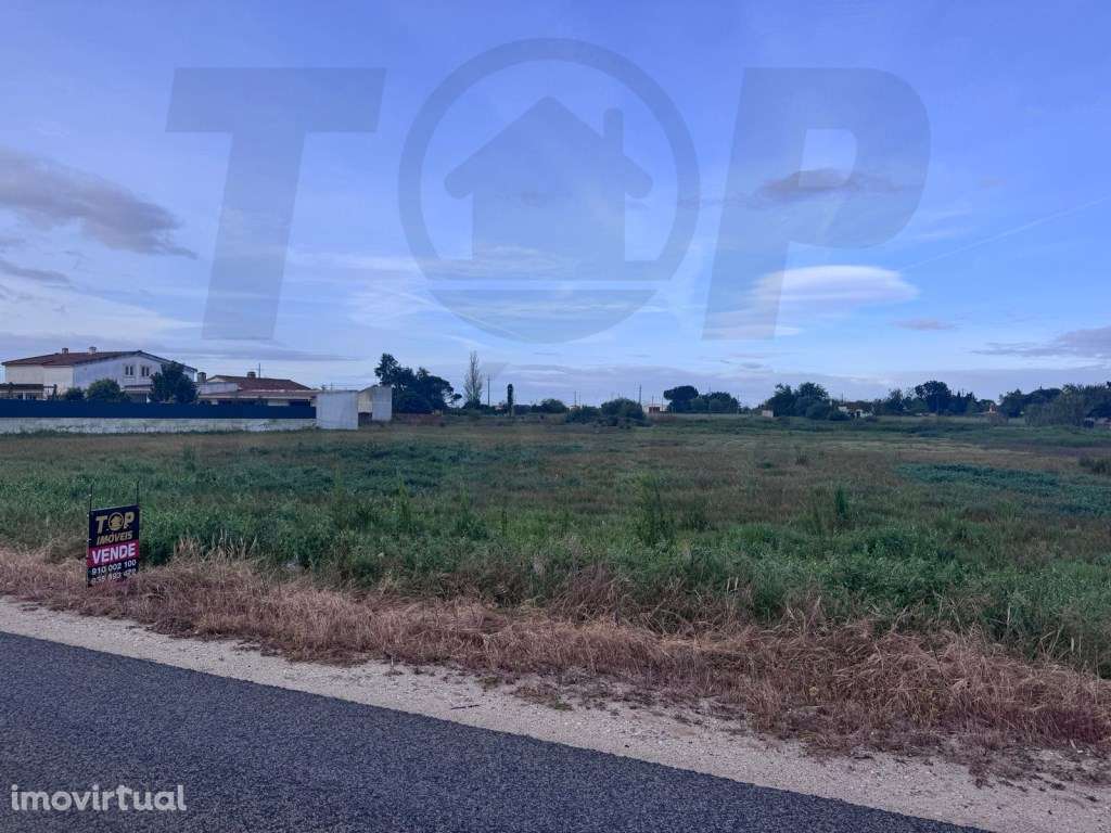 Terreno urbano para loteamento com 10720m2 -Foros de Salvaterra - 2... - Grande imagem: 2/10