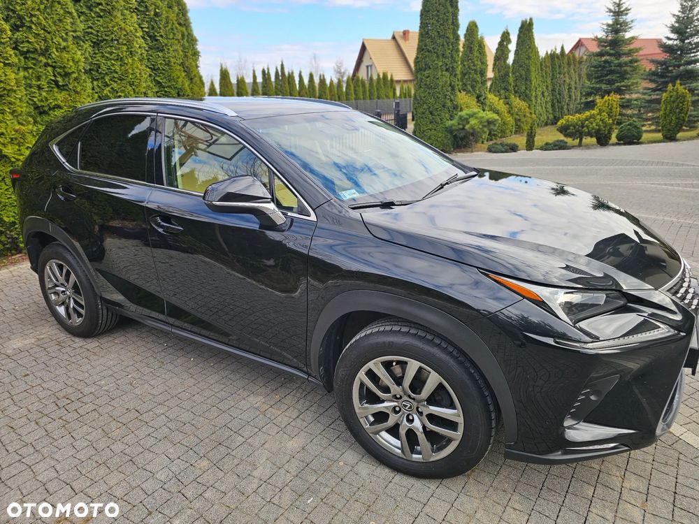 Lexus NX 300 Comfort AWD - 5