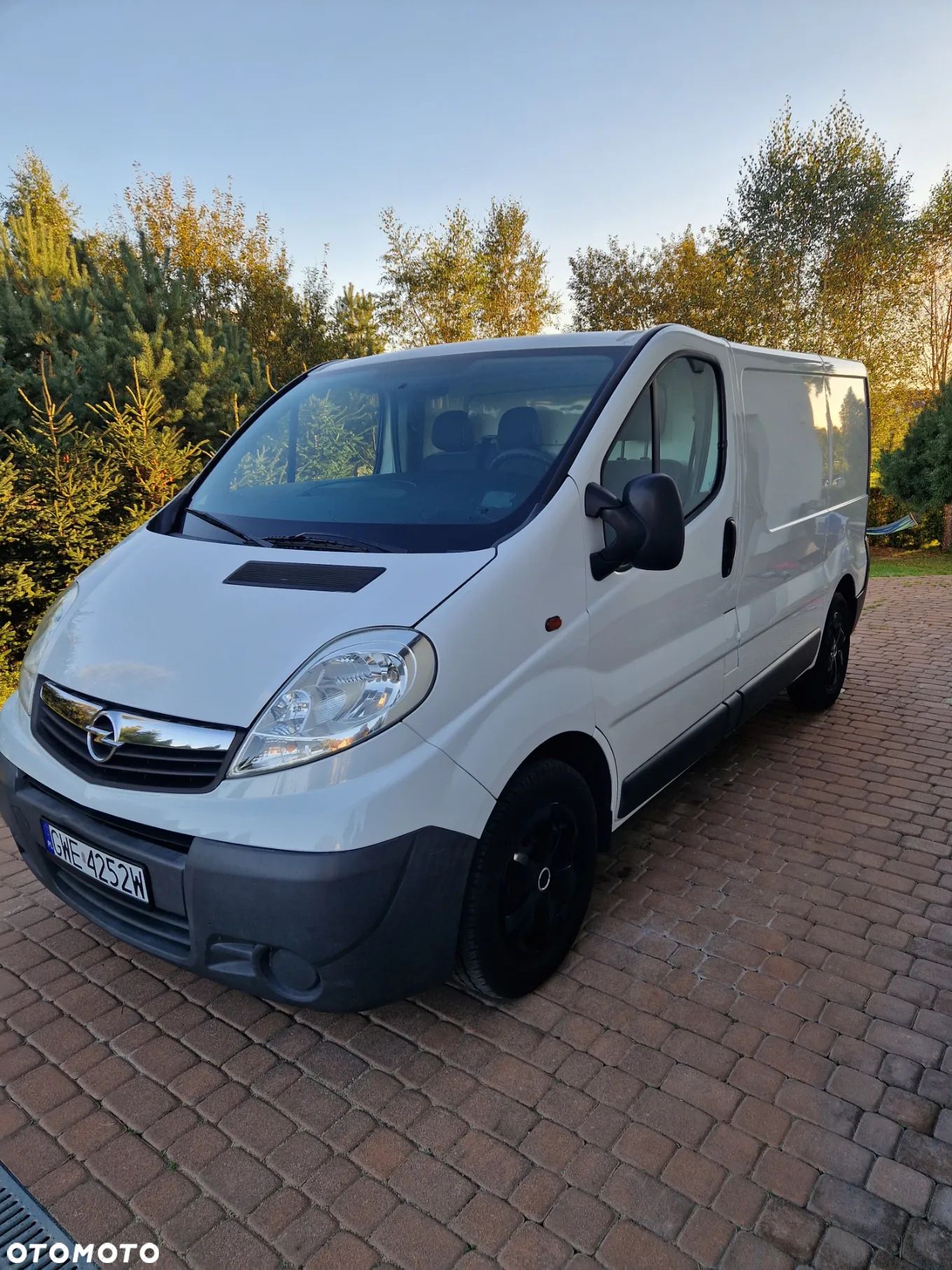 Opel Vivaro - 1