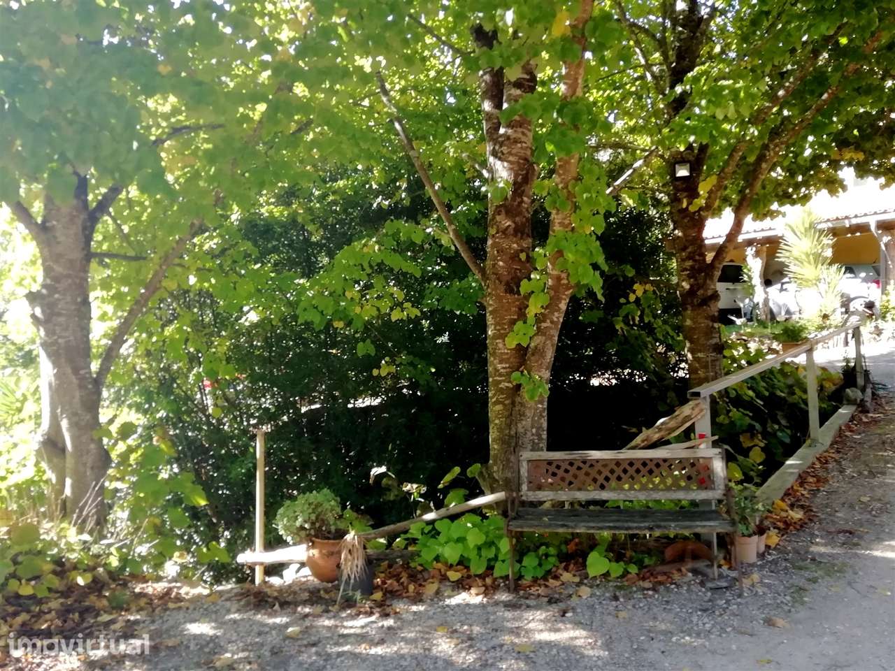 Herdade de 15 ha - Figueira da Foz! - Grande imagem: 5/60
