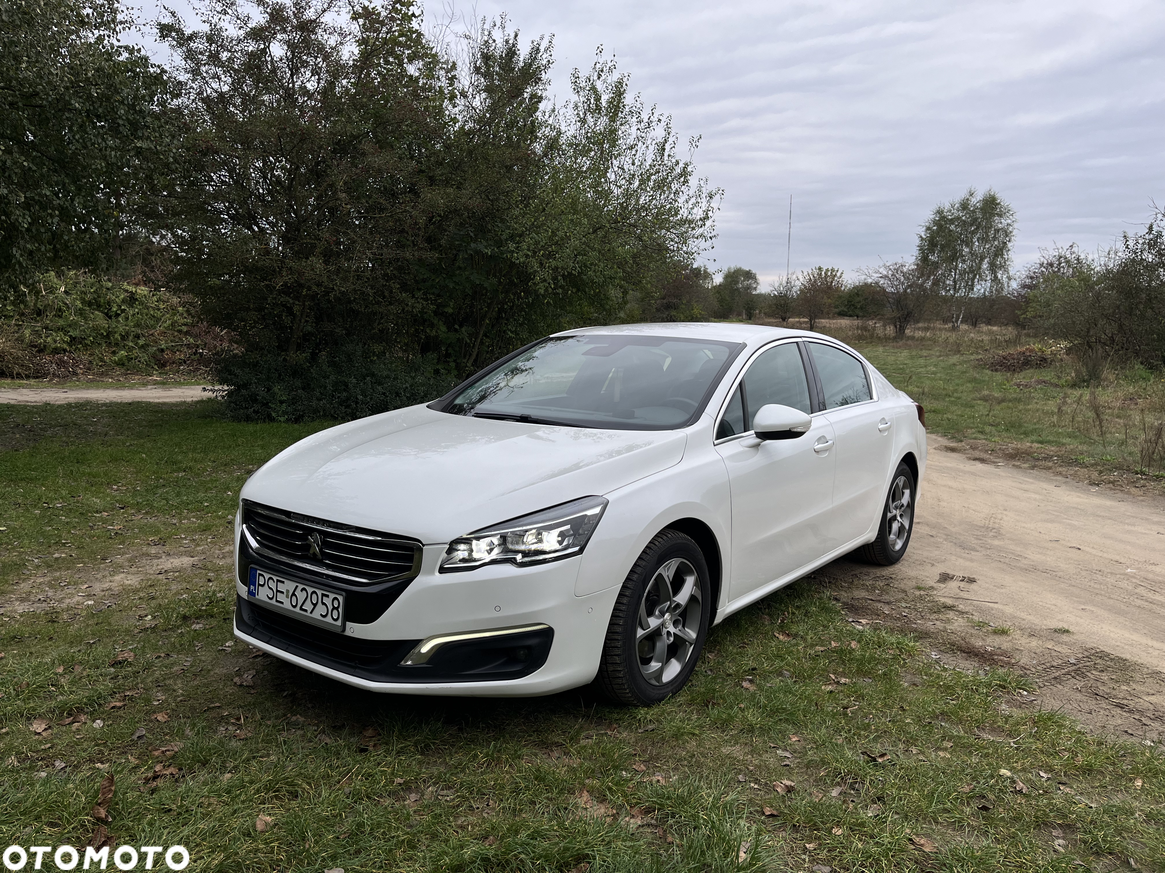 Peugeot 508 HDi 160 Automatik Allure - 8