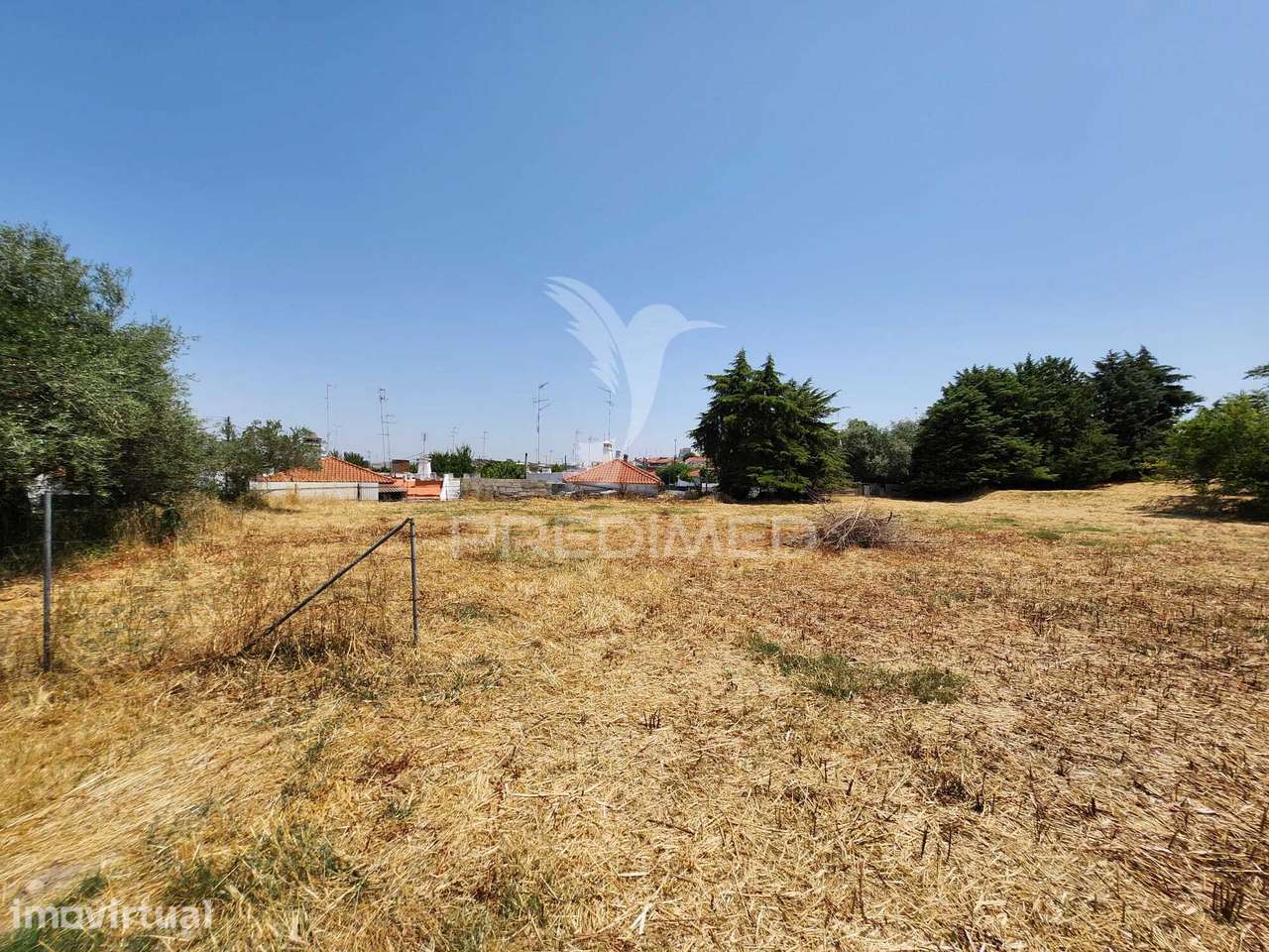 QUINTA HORTA DAS LARANJEIRAS ELVAS BOA FÉ - Grande imagem: 2/31