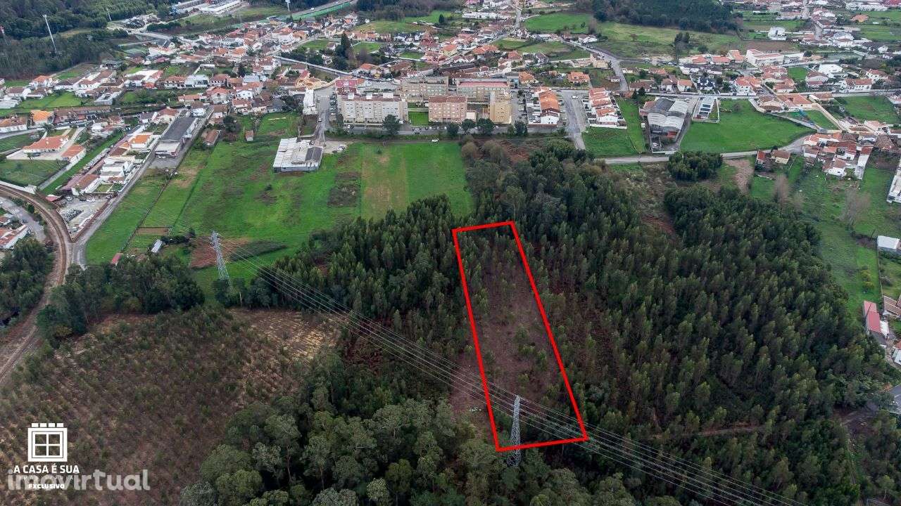 Terreno rústico na Paredinha em Rio Meão - Exclusivo - Grande imagem: 5/9